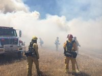 Small study hints anti-amyloid therapy may keep Alzheimer’s symptoms at bay in certain patients