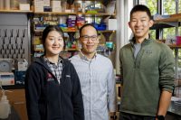 Why the Mediterranean diet works